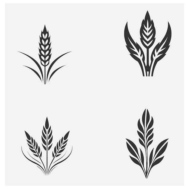 un conjunto de plantas de trigo blancas y negras con hojas vector vector y ilustración