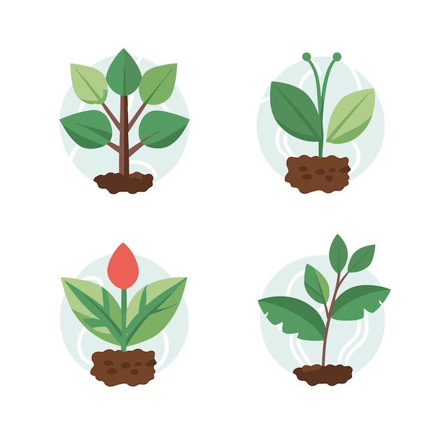 Vector un conjunto de plantas con un tulipán rojo en el medio