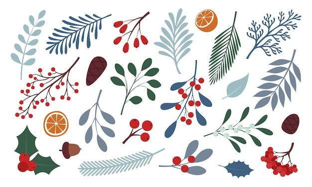 Conjunto de plantas vectoras aisladas sobre fondo blanco