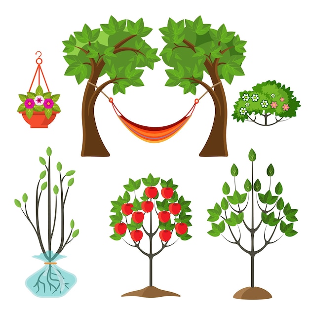 Vector conjunto de plantas de verano en concepto de jardinería. etapas de crecimiento del manzano, cesta colgante con flor, hamaca entre ramas ilustración vectorial