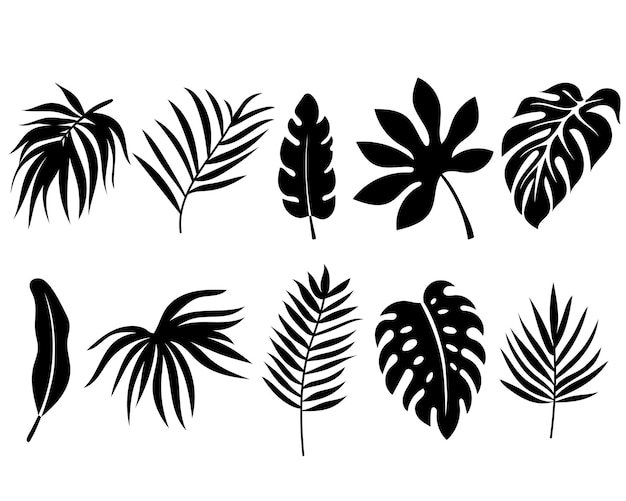Conjunto de plantas de verano de hojas tropicales