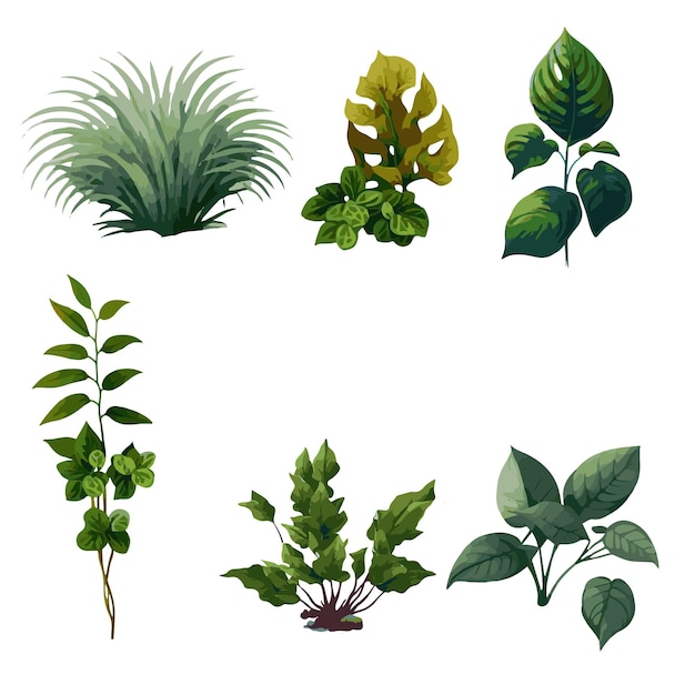 Conjunto de plantas