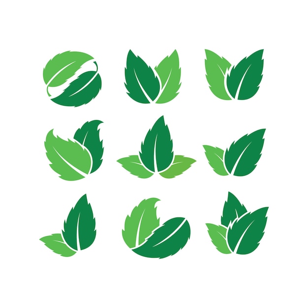 Conjunto de plantilla de diseño de logotipo de hoja