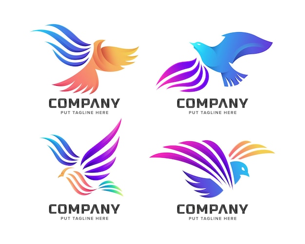 Conjunto de plantilla de logotipo de vuelo de pájaro colorido creativo