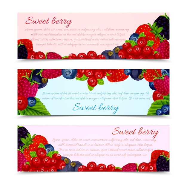 Conjunto de plantillas de banners de bayas horizontal