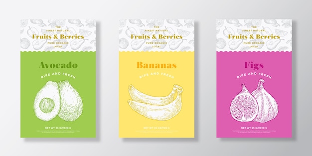 Conjunto de plantillas de etiquetas de patrón de frutas y bayas. Colección de diseño de diseño de envases vectoriales. Banner de tipografía moderna con fondo de bocetos de aguacate, plátano e higos dibujados a mano. Aislado