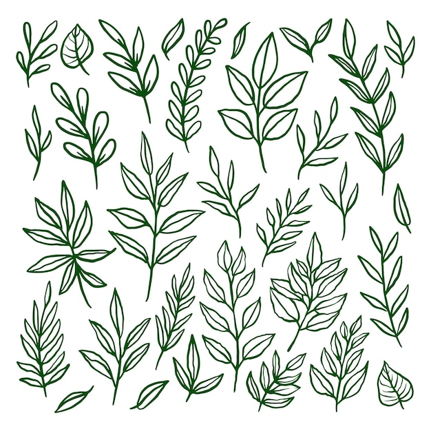 Conjunto de plantillas de ilustraciones dibujadas a mano de hojas