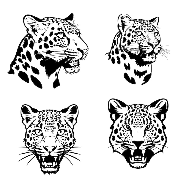 conjunto de plantillas vectoriales del logotipo de la cabeza de leopardo