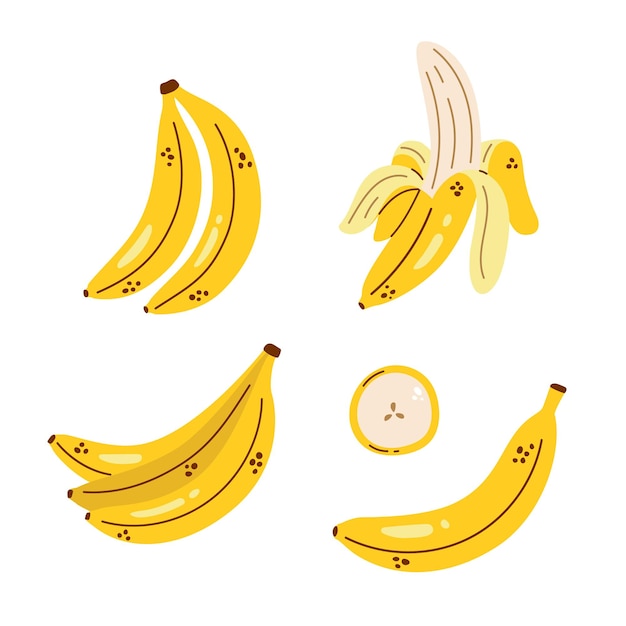 Conjunto de plátano vectorial Racimo de plátano plátano pelado y rodaja de plátano Colección linda con plátanos Fruta tropical