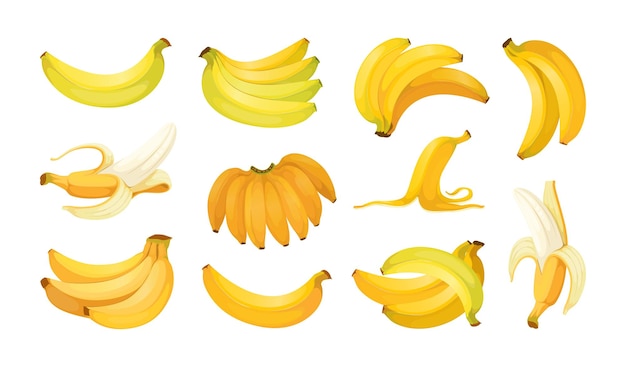 Conjunto de plátanos Frutas tropicales enteras y peladas Ramo de frutas amarillas Dibujo de alimentos de color Plantas maduras cortadas Ingrediente de cocina de bocadillos vegetarianos tropicales simples Ilustración aislada de dibujos animados vectoriales