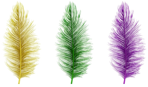 conjunto de plumas coloridas aisladas para decoraciones de Mardi Gras