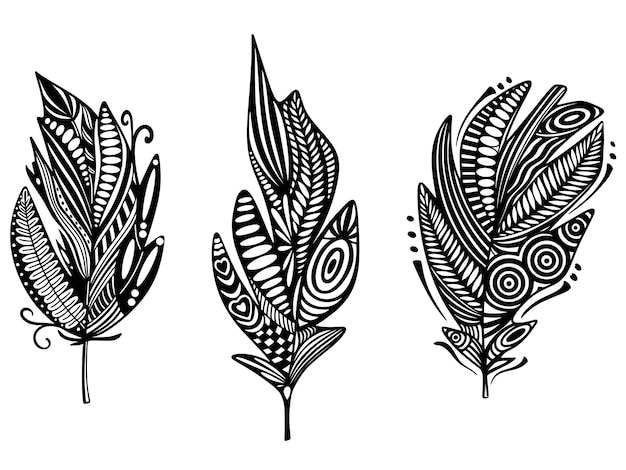 Conjunto de plumas en estilo boho pluma de dibujo de silueta negra con patrones vector clip art