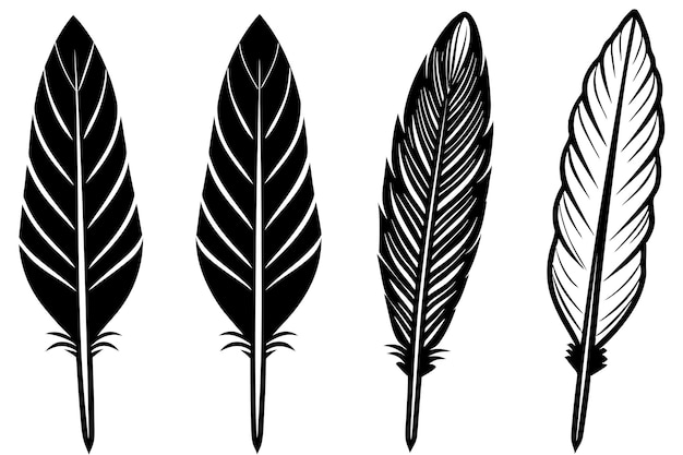 un conjunto de plumas con un fondo blanco y un dibujo en blanco y negro de una pluma