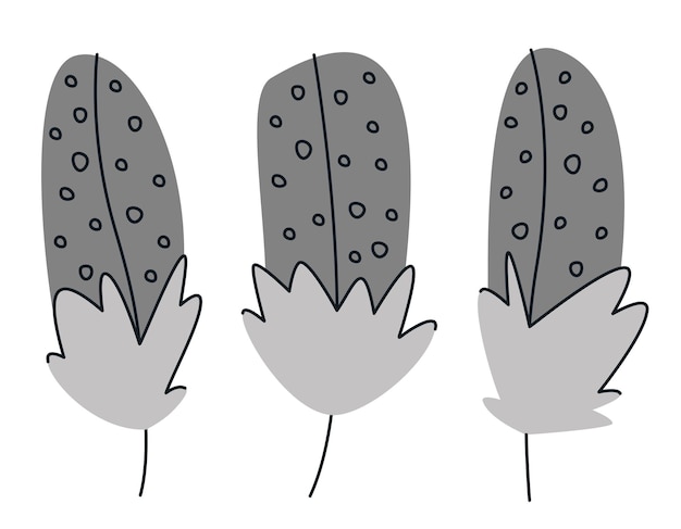 Vector conjunto de plumas de gallina de guinea en estilo doodle