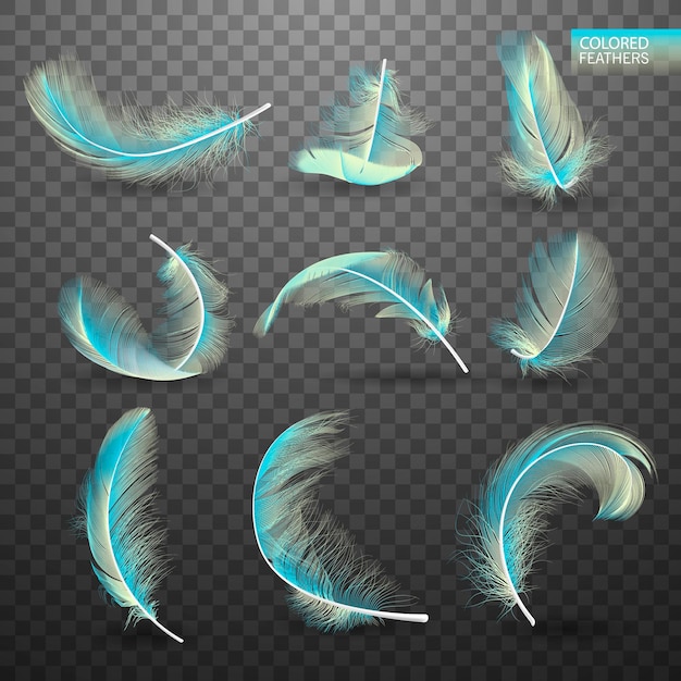 Conjunto de plumas giradas esponjosas de colores que caen aisladas sobre fondo transparente en estilo realista Elementos de diseño de plumas lindas ligeras para el diseño Ilustración vectorial