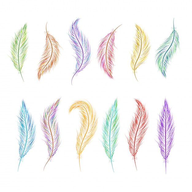 Conjunto de plumas pintadas a mano en diferentes colores.
