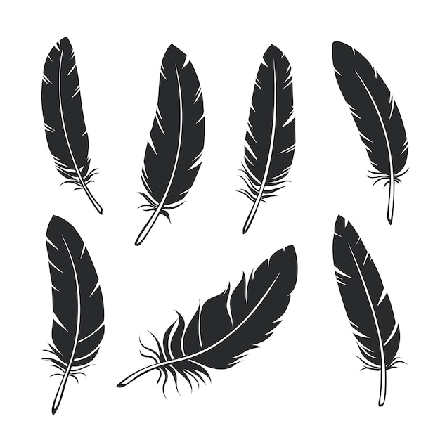 Conjunto de plumas de siluetas. pluma de pájaro negro glifo, aislado.