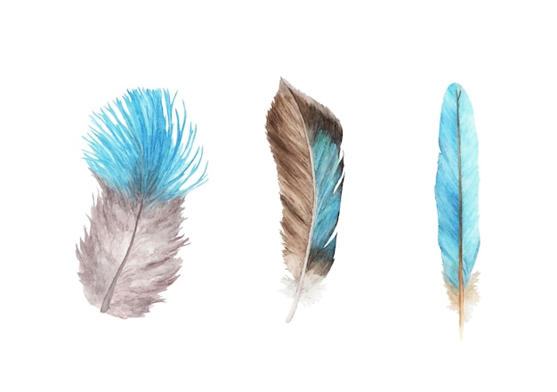 Conjunto de plumas vibrantes. Pluma de ave. Alas estilo boho. Ilustración acuarela.