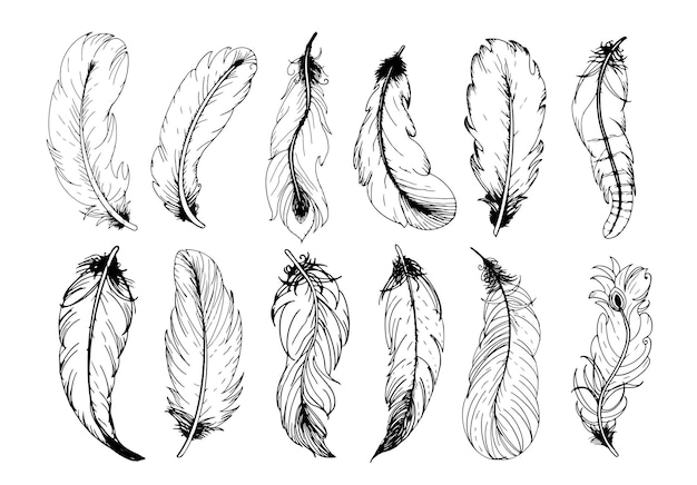Conjunto de plumas vintage dibujadas a mano Ilustración vectorial