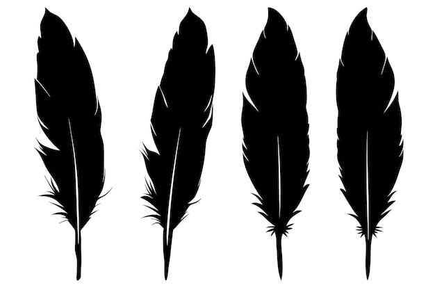 Conjunto de plumas