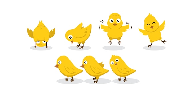 Conjunto de pollitos bebé pollo diseño de personajes ilustración