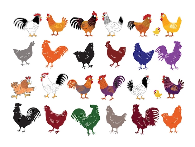 Conjunto de pollo gallina gallo aves granja animal icono carácter dibujado a mano ilustración vectorial