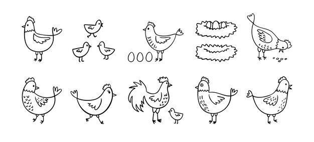 Conjunto de pollos de granja dibujados a mano con dibujos divertidos de aves domésticas concepto de aves de corral