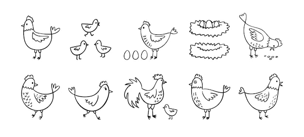 Conjunto de pollos de granja dibujados a mano con dibujos divertidos de aves domésticas concepto de aves de corral