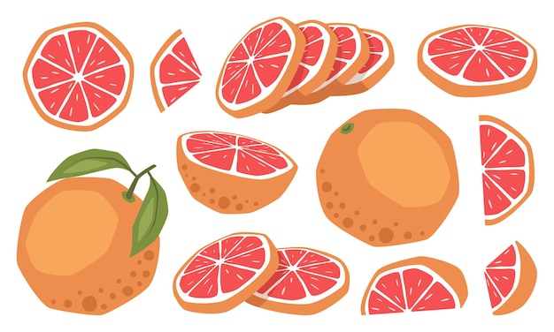 Conjunto de pomelos aislados por vectores, mitad entera y rebanadas