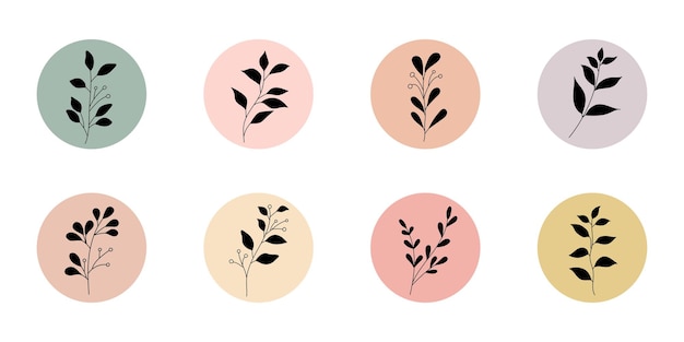 conjunto de portadas de historias destacadas con elemento botánico de flores silvestres para plantilla de redes sociales