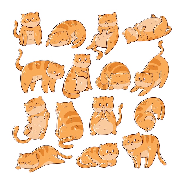 Conjunto de poses de gato colección de ilustraciones dibujadas a mano