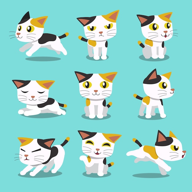 Vector conjunto de poses de gato de personaje de dibujos animados