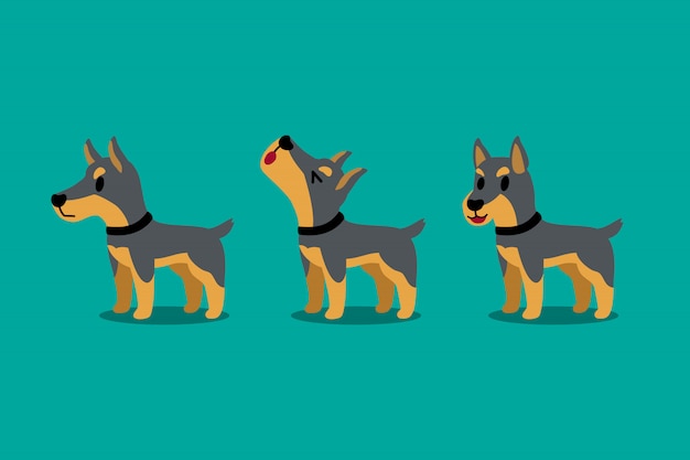 Vector conjunto de poses de perro doberman de dibujos animados vector