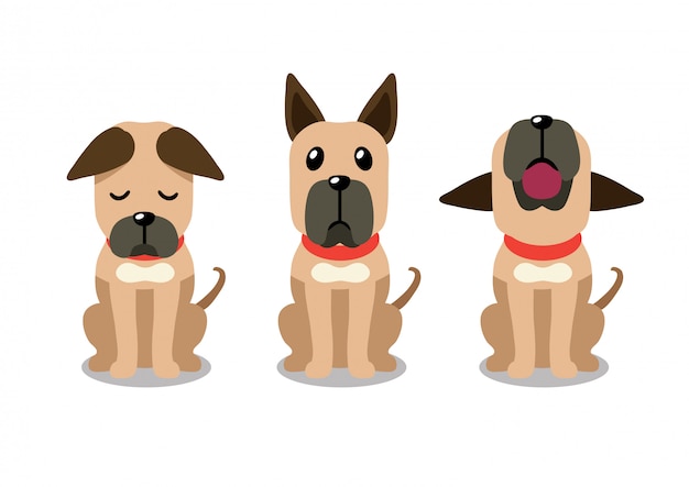 Conjunto de poses de perro de gran danés de personaje de dibujos animados