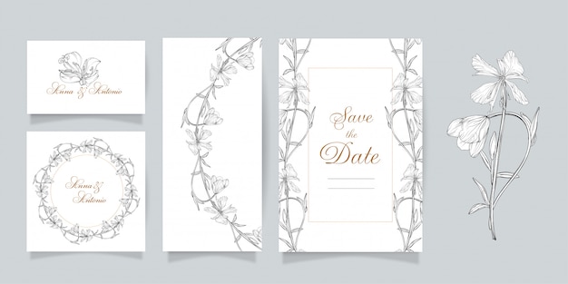 Conjunto de postales. Conjunto de gráficos vectoriales de elementos florales. Epilobio