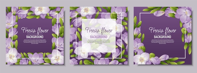 Conjunto de postales con flores de fresia Hermoso marco con flores y capullos de color púrpura Tarjeta de primavera banner invitación de boda