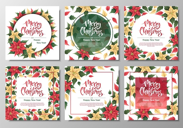 Conjunto de postales con poinsettia rojo y amarillo Fondo de Navidad y Año Nuevo Plantas de invierno para decorar invitaciones, pancartas, volantes, etc.