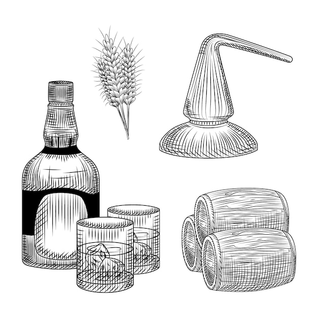 Conjunto de proceso de producción de whisky en estilo dibujado a mano. Botella de whisky, vidrio, barril, trigo, destilación.
