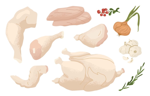 Conjunto de productos a base de carne Filete de pollo y pavo fresco Diferentes partes de aves de corral y verduras Concepto para granjas y mercados alimentarios Ilustración vectorial aislada sobre fondo blanco