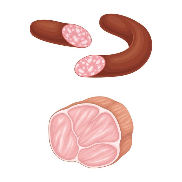 Conjunto de productos de carne Salchichas y tocino Ilustración vectorial del surtido de carnicería