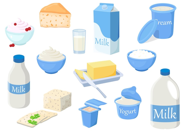 Vector un conjunto de productos lácteos ilustraciones de leche requesón mantequilla crema agria queso crema yogur