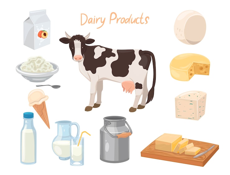 Vector conjunto de productos lácteos y una vaca aislada