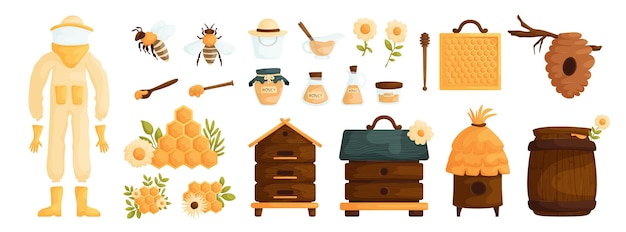 Conjunto de productos de miel Jar de abeja insecto cuchara flores de panal colmena y barril producción o equipo de miel y apiario producto orgánico natural alimento dulce azúcar postre vector