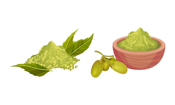 Vector conjunto de productos de oliva ilustración vectorial de una dieta saludable para productos ecológicos
