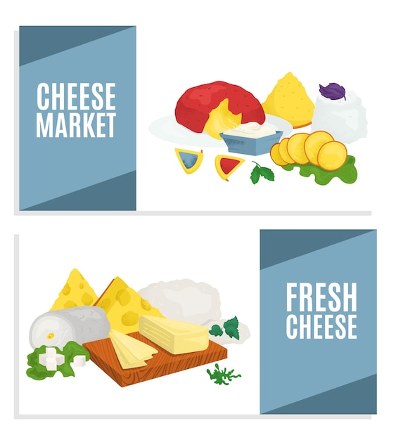 Vector conjunto de productos de queso banner ilustración vectorial alimentos de la colección de leche sabrosa mozzarella feta cheddar y camembert plano sitio web