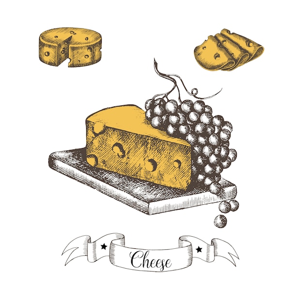 Conjunto de quesos dibujados a mano en rodajas y con uvasen estilo vintage. Bosquejo. ilustración