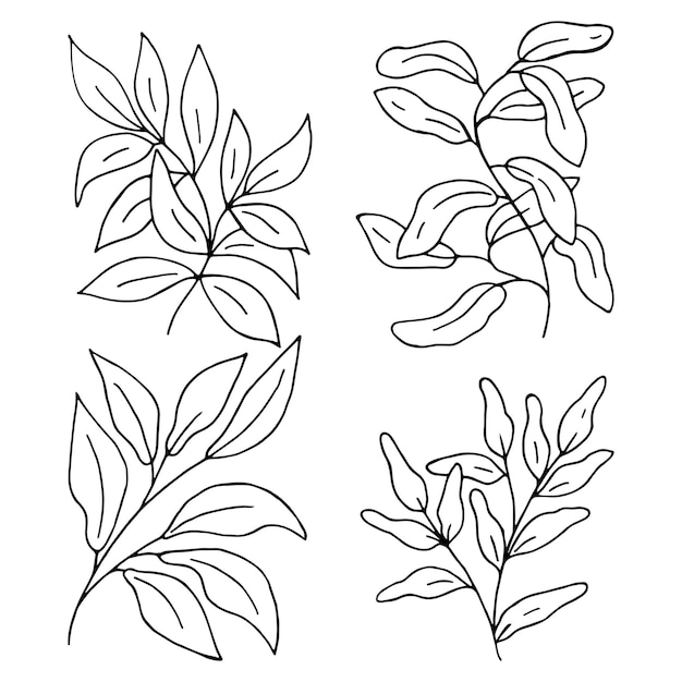 Conjunto de rama con hojas aisladas sobre fondo blanco Ilustración de vector dibujado a mano