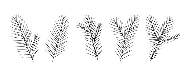 Un conjunto de ramas de abeto para la decoración Elementos del bosque dibujados a mano Decoración natural en estilo garabato