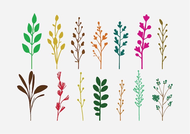 Conjunto de ramas de árboles Ilustración vectorial Elementos de diseño inspirados en la naturaleza