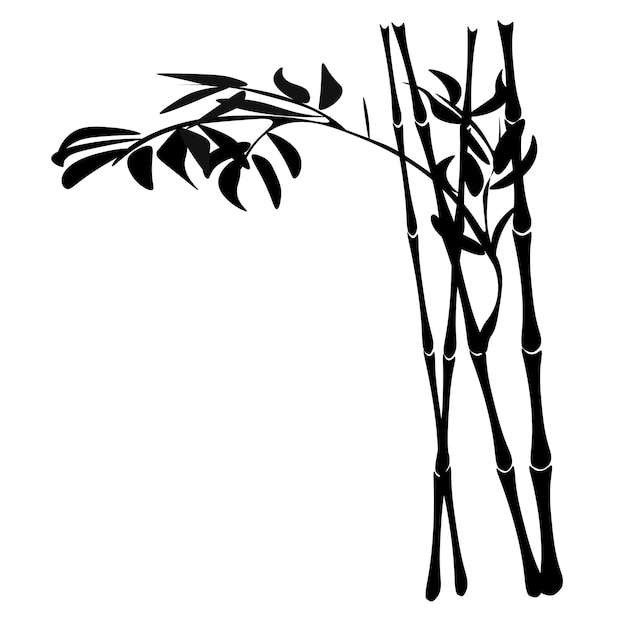 Un conjunto de ramas de bambú con una silueta de bambú Una brizna de hierba una rama de plantas de Asia